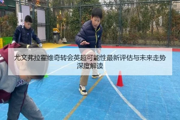 尤文弗拉霍维奇转会英超可能性最新评估与未来走势深度解读